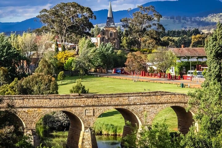 סיור יומי בהר פילד, בהר וולינגטון, במקלט חיות בר בונורונג ובריצ'מונד.