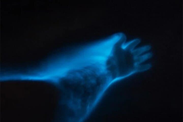 שיט ורחצה בלגונה זוהרת ביולוגית מפורטו אסקונדו