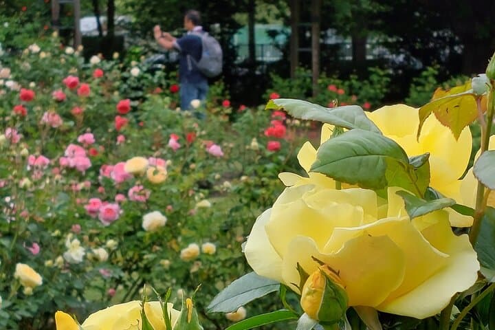 סיור חופי ליטלטון: אתרי העיר כרייסטצ'רץ'.