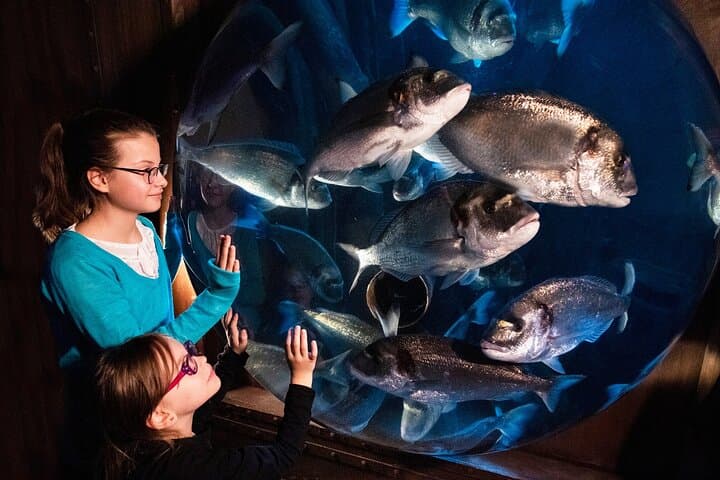 כרטיס כניסה לSEA LIFE ספייר