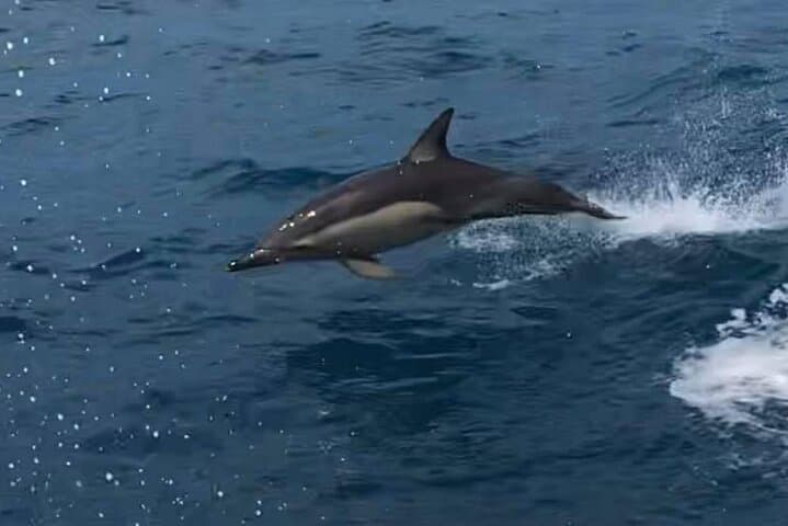 Kalbarri Sunset & Coastal Cliff Cruise