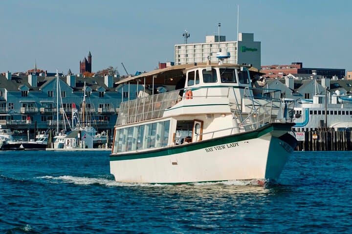 שייט אורות העיר הנמל