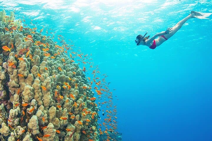 טיול יכטות יוקרה לראס מוחמד ואי הלבן משארם א-שייח