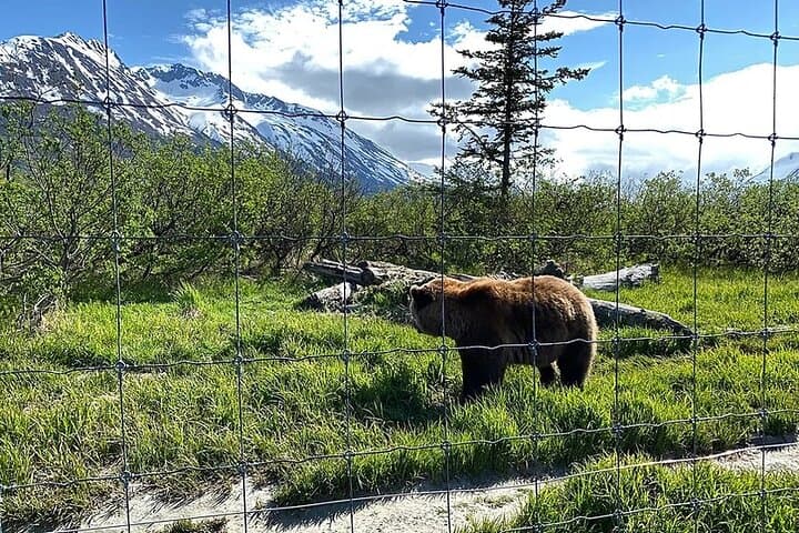 סיור בן יום מלא בטורנגאין