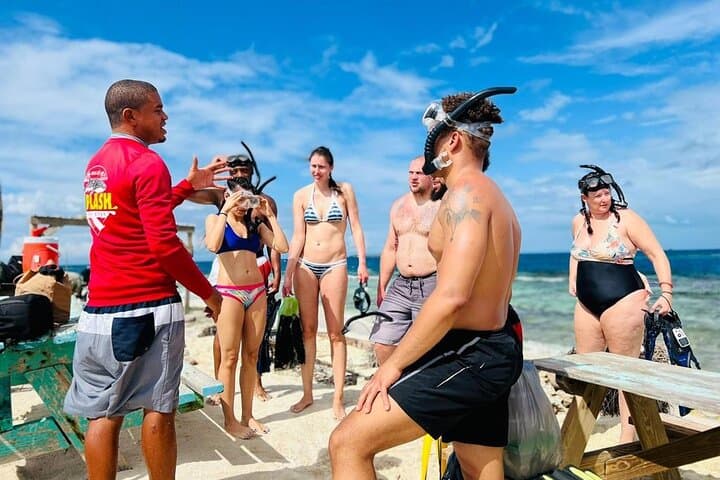 שנורקל באי טרופי מושלם סילק קיי עם צבים, קרניים וכרישים