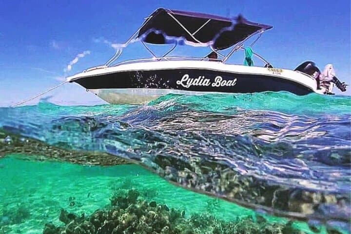 Lydia Boat Mauritius: Le Morne :Eco-Friendly Whales&Dolphins Tour