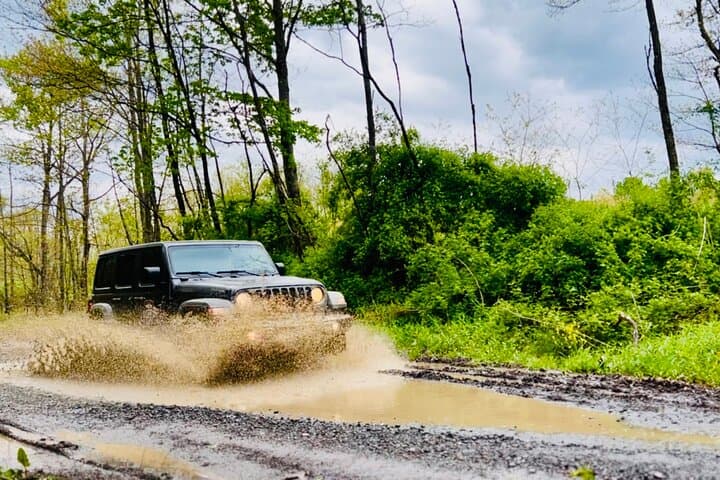 סיור גיפ בניואור גורג (חצי יום)