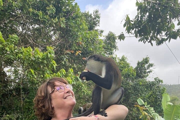 סיור של יום מלא: עסק בלמונט, מזקקת רום, גראנד אתאנג