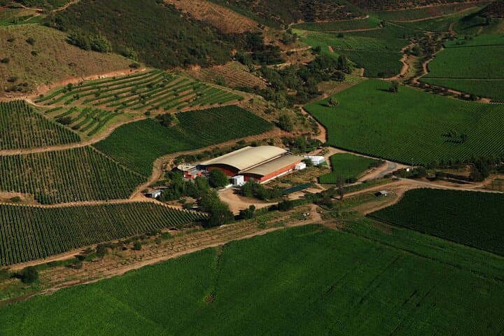 Private San Antonio Port, visit Chocalan Winery & Transfer Hotel