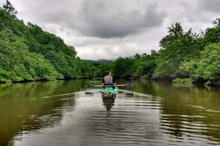 Kayaking to the mangroves + Sunset in Paraty