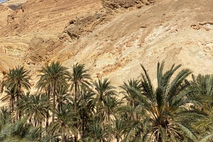 מעגל בדרום תוניסיה ב-2 ימים, חוקר הסהרה