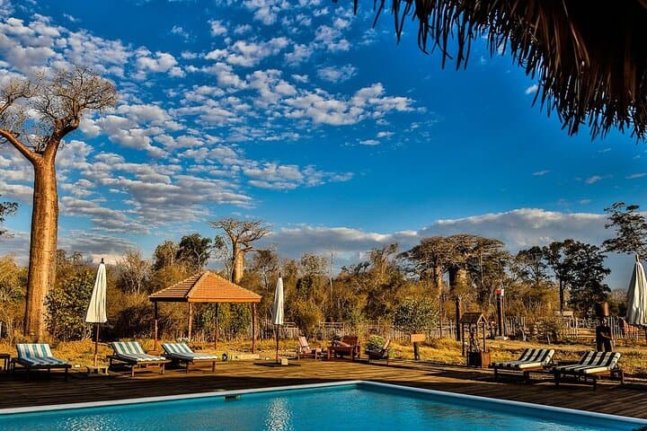 סיור פרטי של 7 ימים ספארי באבאבה