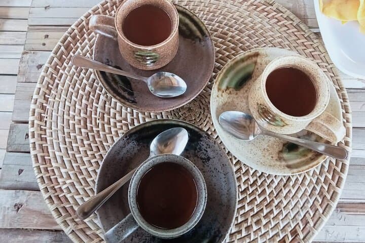 Bohol Chocolate Farm with Chocolate Hills &Tarsiers