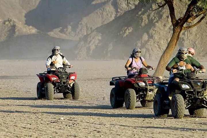 Quad with Camel Ride & Bedouin village , Dinner From Marsa Alam