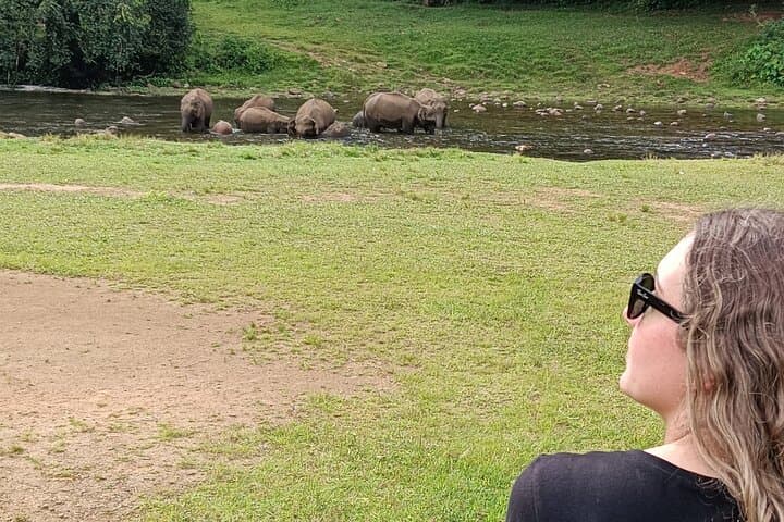 סיור חיי הכפר של פילי הבר אנאקלום (מאת מונאר אינפו)