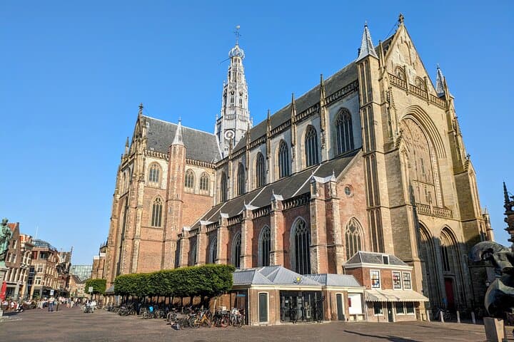 חווית קרב הארלם: הרפתקת הגנה עצמית בעיר