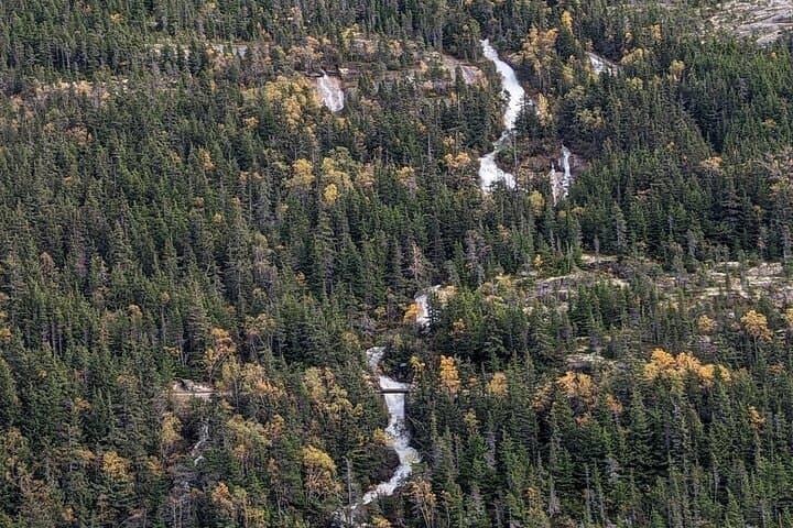 Skagway City and Summit Tour