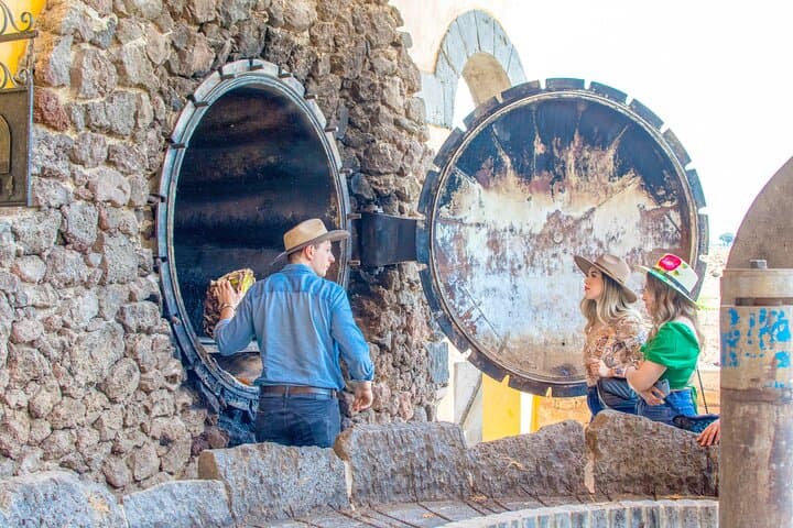 The Agave Experience Tequila Tour in Jalisco