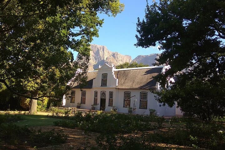 Cape Town Wine Tour: Stellenbosch & Franschhoek +Tastings & Lunch