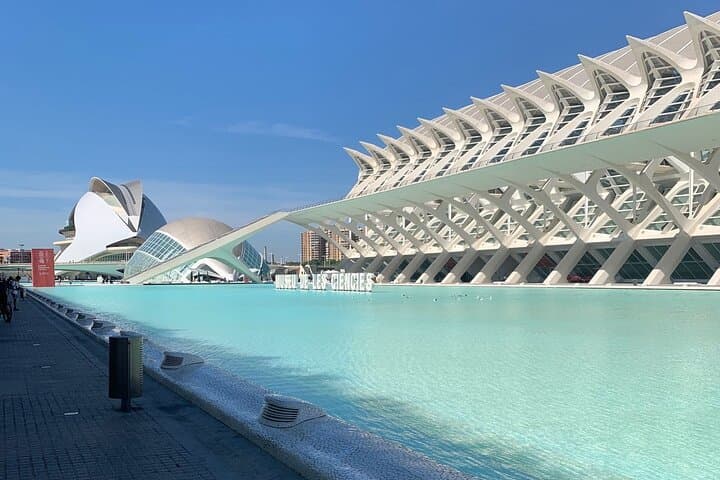 From Albir, Benidorm & Calpe: Valencia City day trip