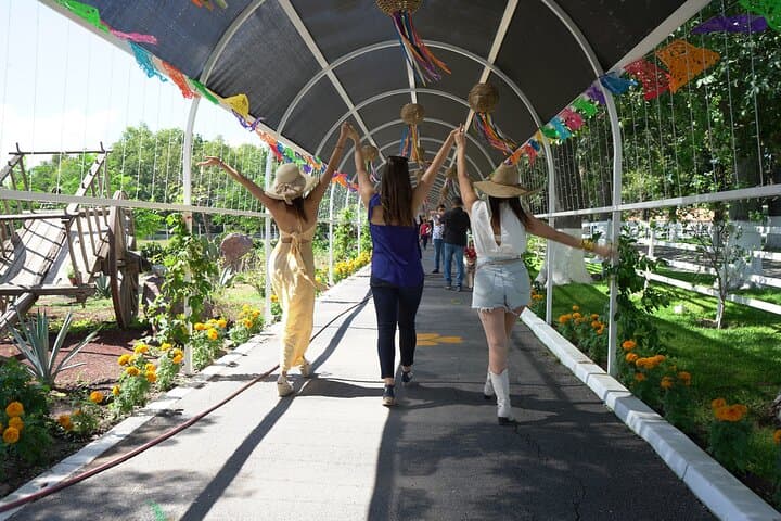 סיור לאגם צ'אפלה, בעיירה המאגית אג'יחיק מגואדלאחרה