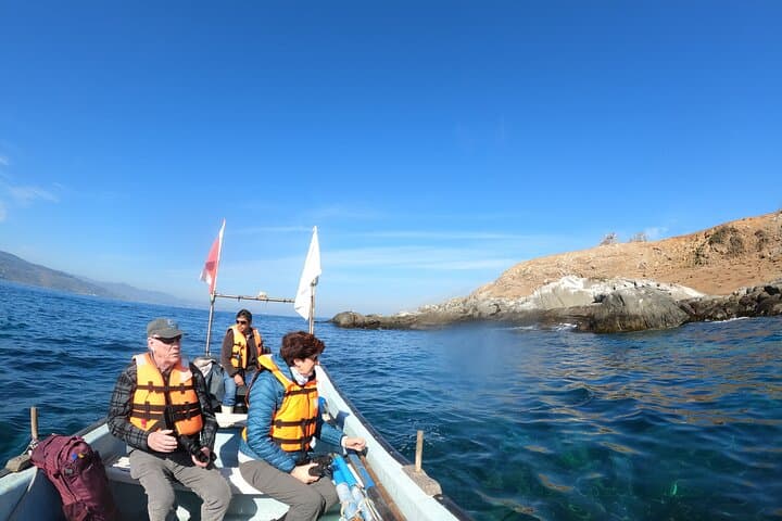Penguins Watching - Navigation Cachagua Island & Lunch From VALPO