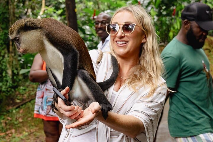 טיול פרטי של יום שלם בגרנדה עם איסוף