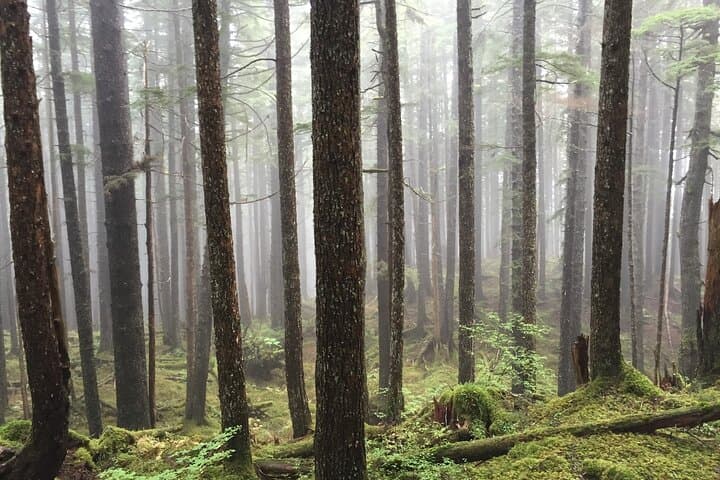 סיור בכפר אידי סטרייט וחגיגת סרטנים