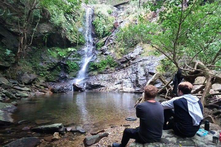 Okinawa Jungle Trails & Waterfalls – Private Yanbaru Tour