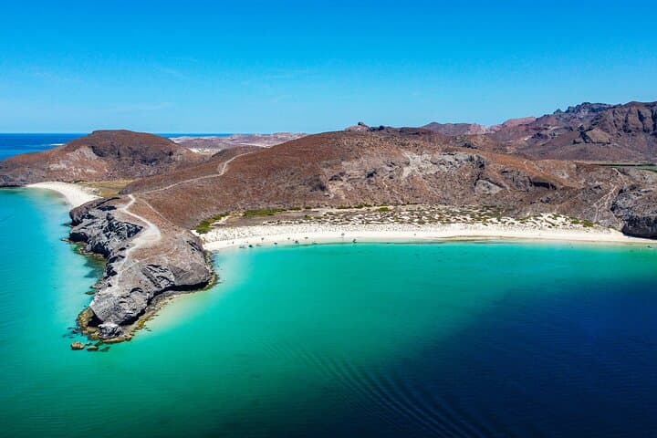 שנורקלינג עם כרישי הו whale וארוחת צהריים בחוף בלאנדרה