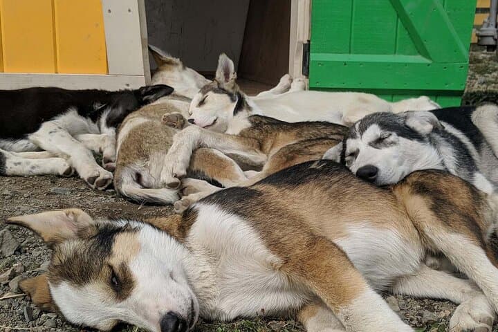 גשר, גורים, ושילוב משולש גבוה בסקאוויי