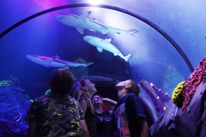 SEA LIFE Konstanz Admission Ticket