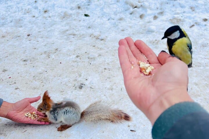 Ala Archa Nature Park Essential Tour & Cable Car ride