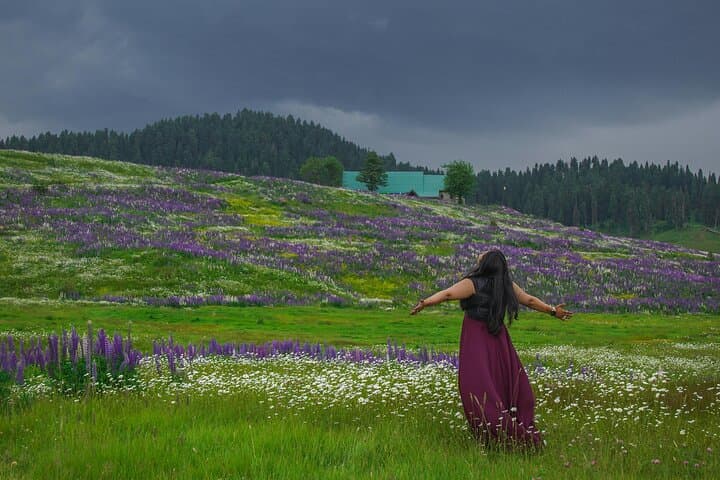 טיול של 5 ימים ביופיו של קשמיר עם לינה ותחבורה