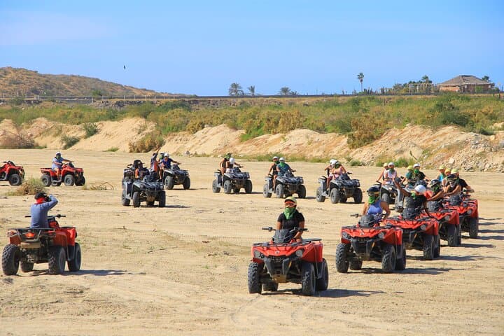 סיור אטוי חוף קאבוגרינו והמדבר plus טעימות טקילה