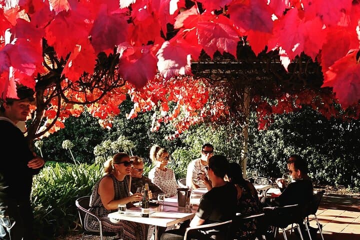 סיור יום מלא בעמקים של וינו