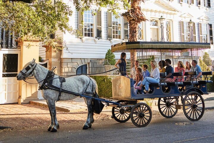 סיור כרכרות רתומות לסוסים בצ'רלסטון: חקרו את צ'רלסטון ההיסטורית