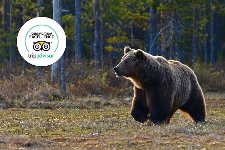 הדגשים בבנף וחיות בר | הרפתקת קבוצות קטנות זוכה פרסים