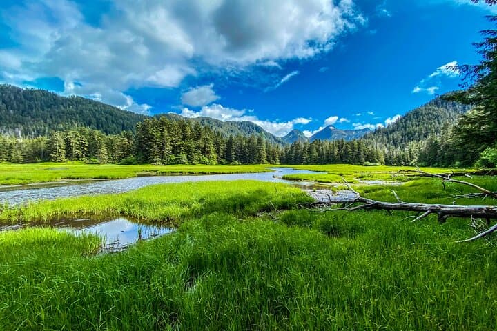 חקור מעבר לנמל: טיול פרטי בלתי נשכח בסיטקה