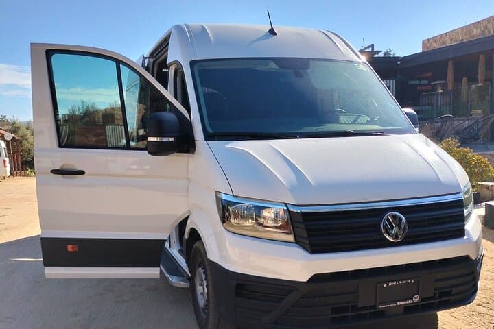 Farewell to Single Guadalupe Valley Mexico