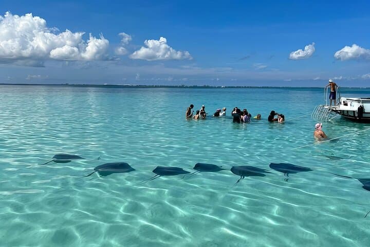  StingrayCity ,Coral Garden & Starfish Tour. 