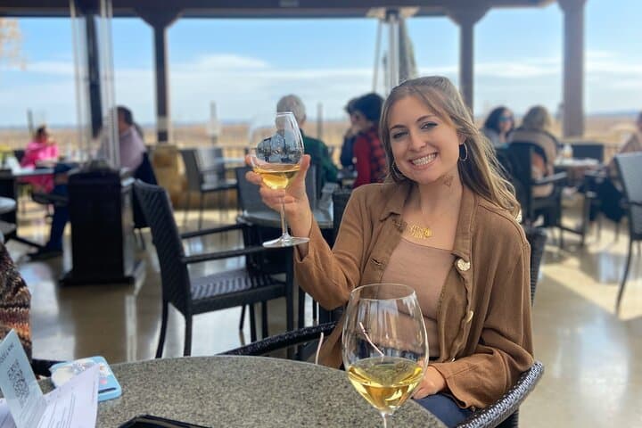 סיורי יין בלעדיים באזור ההרים סביב פרדריקסבורג טקסס