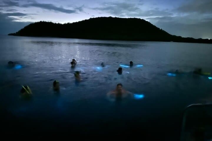 La Parguera Bio Bay Boat Ride and Swimming w/ San Juan Transport
