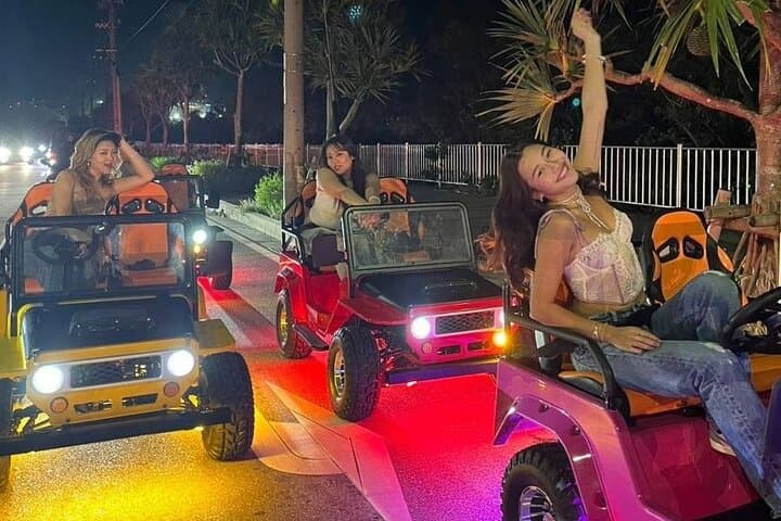 סיור גיגית מיני פרטי באוקינאווה