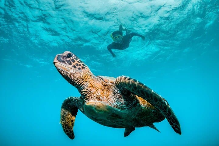 Huatulco Ocean Adventures