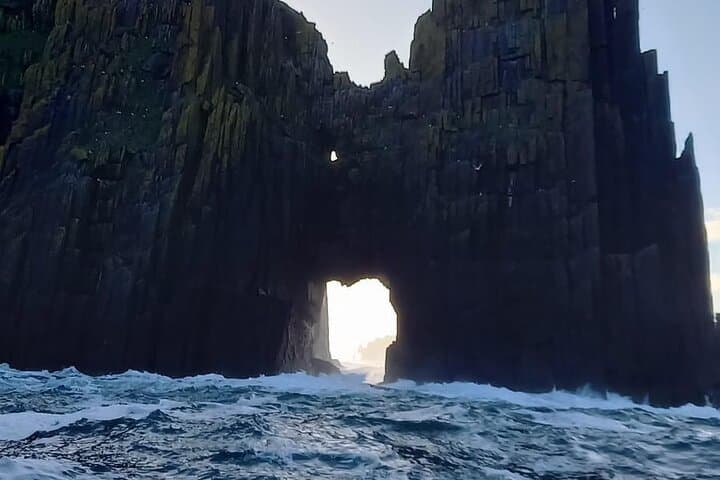 הרפתקת ה-RIB לחיות בר של סיורי היאכטות בדינגל