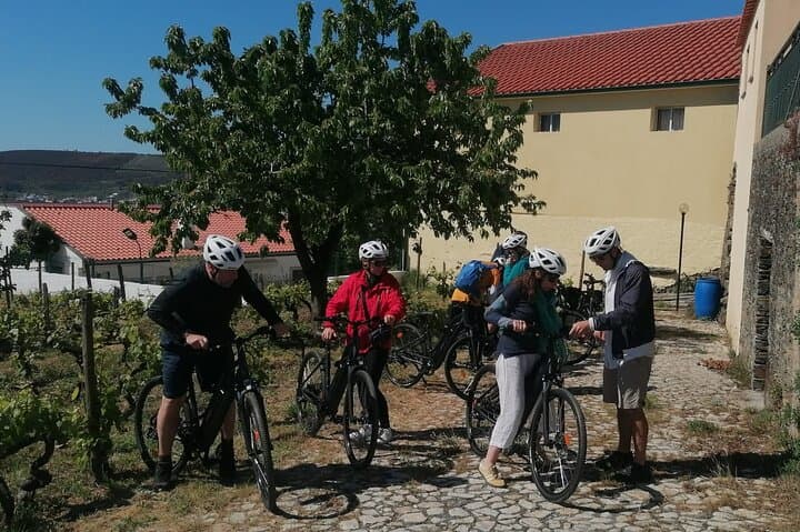 Private e-Bike in Douro Valley for Half Day Tour