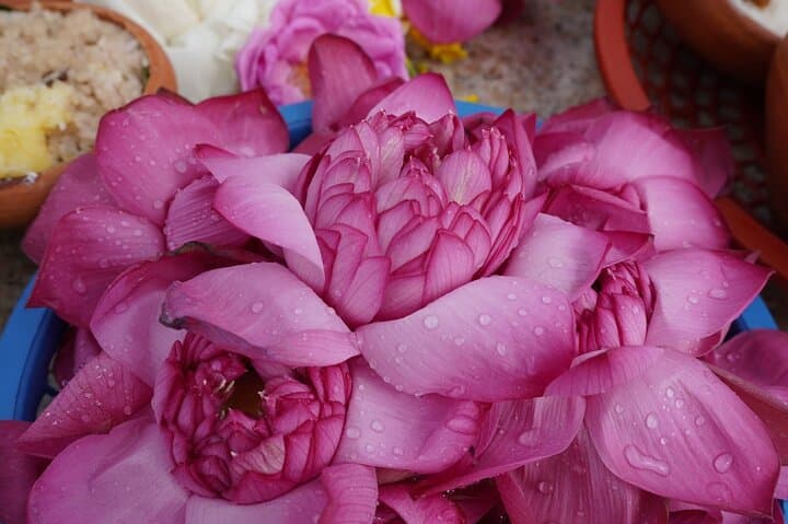 סיור יום פרטי בעיר אנוראדאפורה