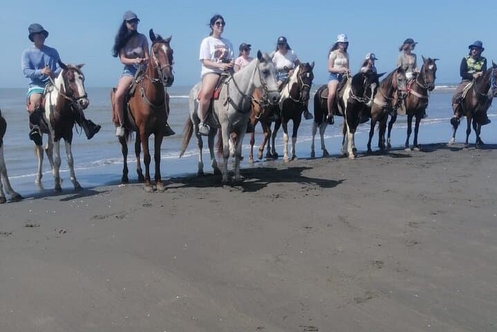רכיבה על סוסים בחופים של קרטחנה