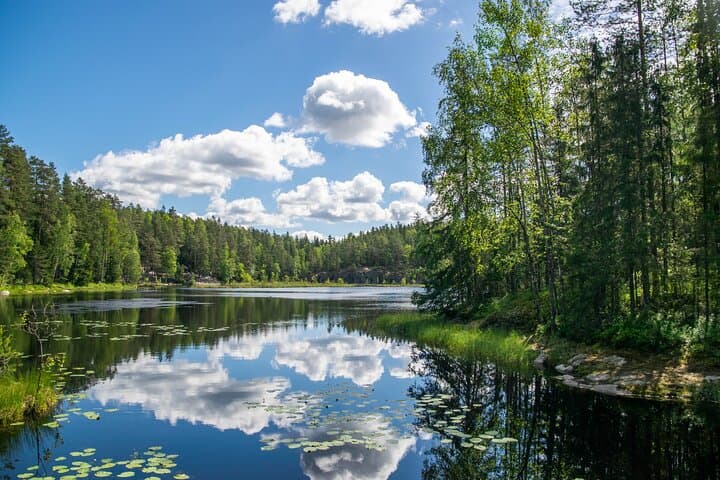 Helsinki: Nuuksio National park hiking with campfire lunch